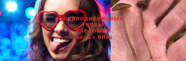 крисы Магас