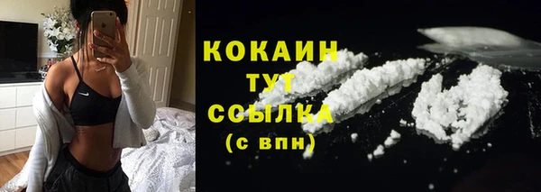 шишки Магадан