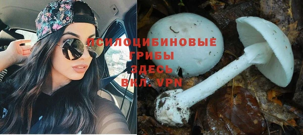 прущая мука Майский