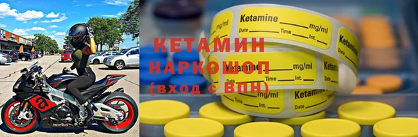 крисы Магас