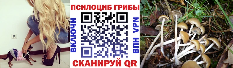 Галлюциногенные грибы Magic Shrooms  hydra как войти  Калуга 
