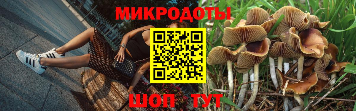 купить закладку  Галлюциногенные грибы MAGIC MUSHROOMS  Калуга  Псилоцибиновые грибы прущие грибы 