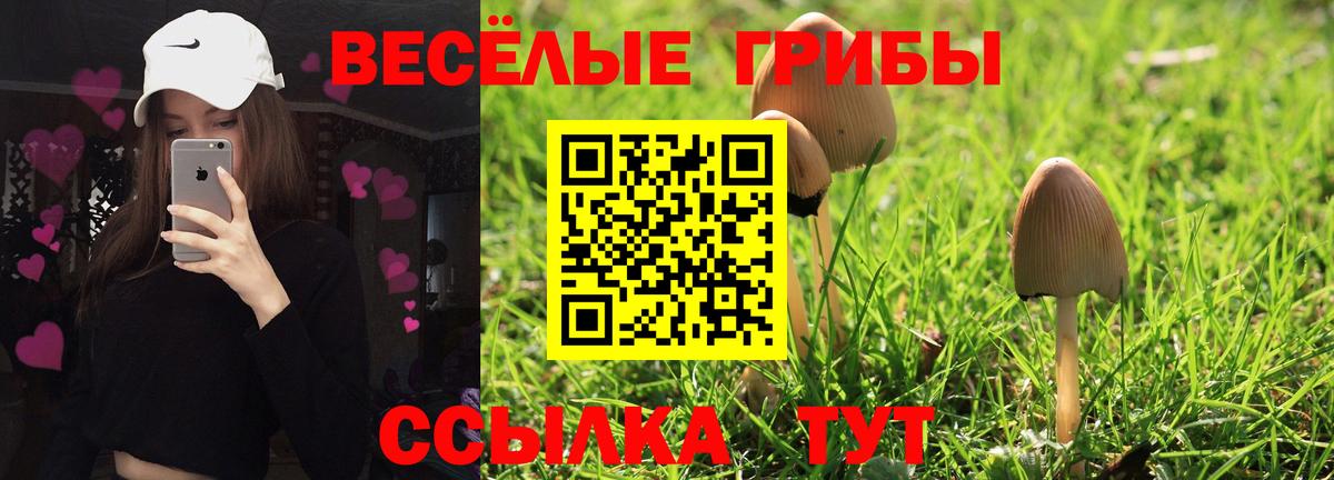 Калуга  Псилоцибиновые грибы MAGIC MUSHROOMS  Галлюциногенные грибы мицелий  Вход с VPN 